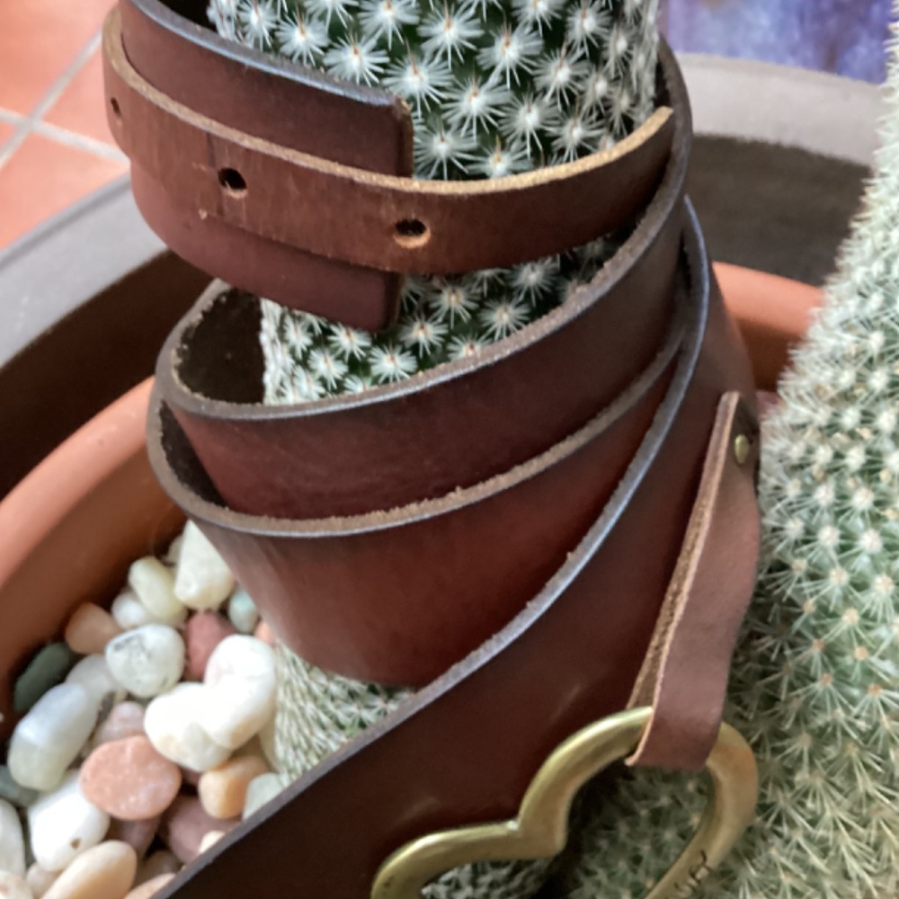 American Eagle Outfitters Brown Leather Heart Belt - Picture 7 of 9